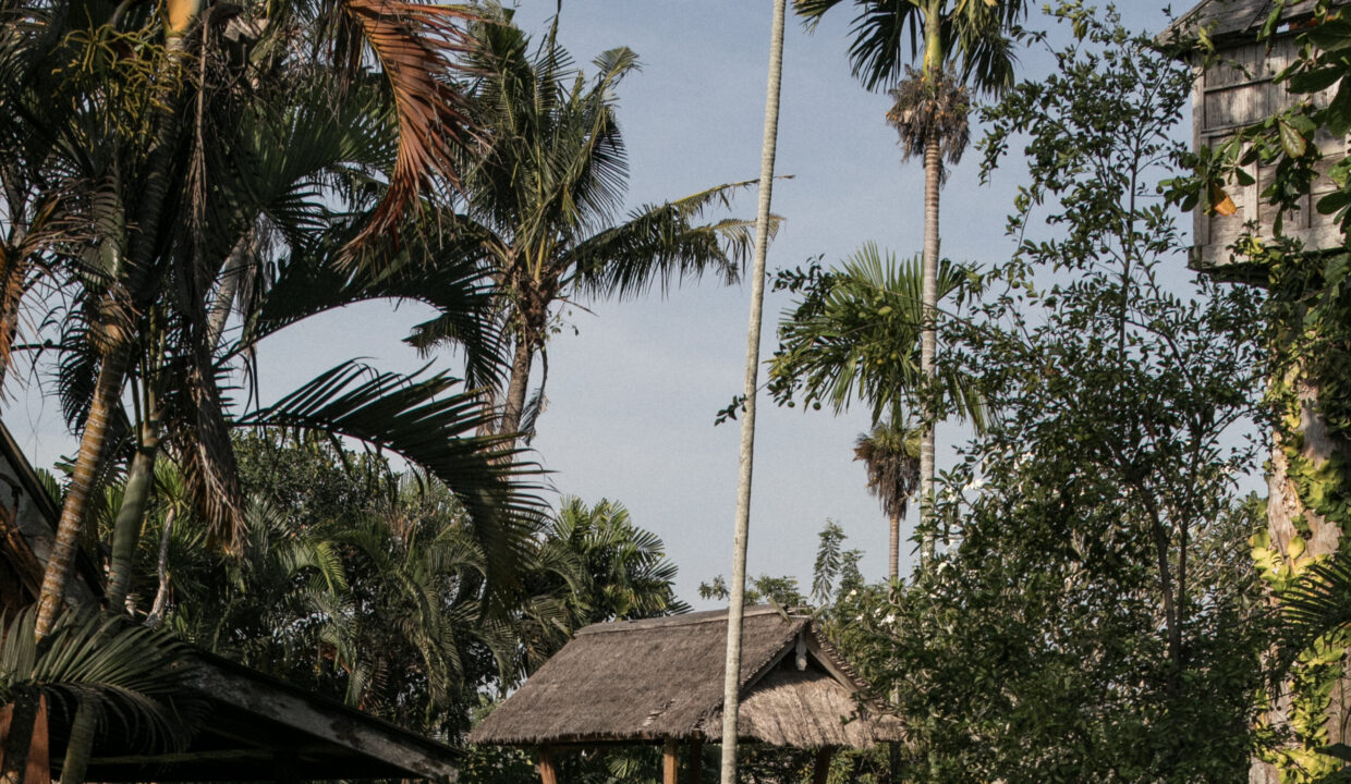 PURI ANGSA - 1. ENTRANCE (6 of 9) - IMG_8377