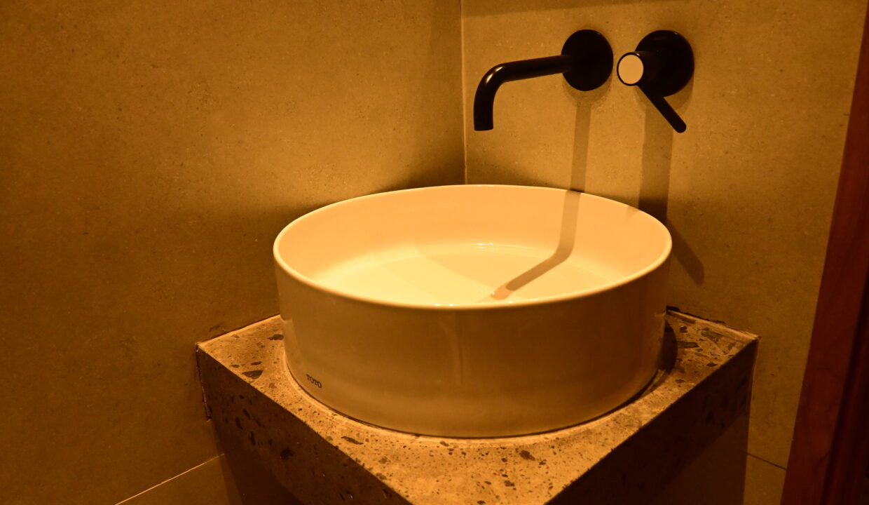 52b Guest toilet detail